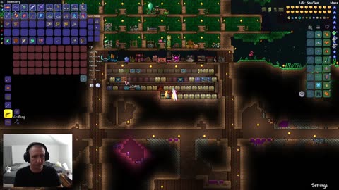 Chill Terraria Just Tweaking Existing Rooms