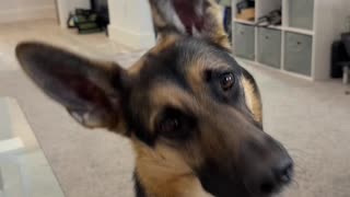 Head tilt ACTIVATED