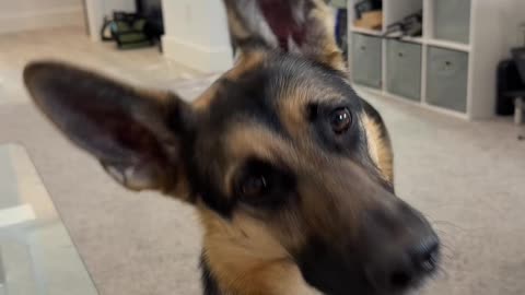 Head tilt ACTIVATED