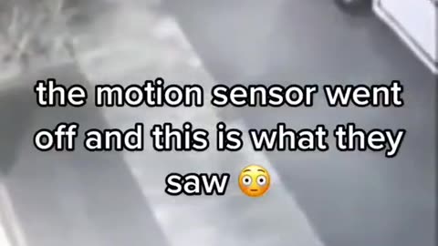 😨👻 Skinwalker Encounter! Ghostly Toksa | TheHauntingHour