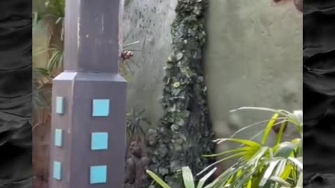 😨👻 Unexplainable Haunting Caught on Camera! | TheHauntingHour