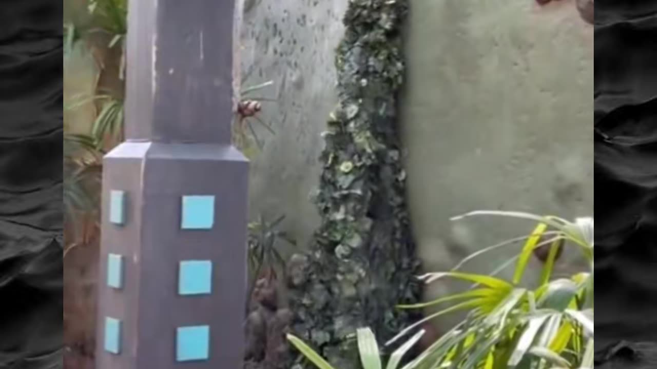 😨👻 Unexplainable Haunting Caught on Camera! | TheHauntingHour