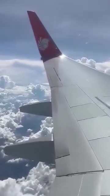 Pánico en pleno vuelo