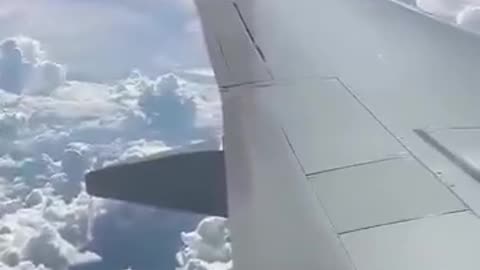 Pánico en pleno vuelo