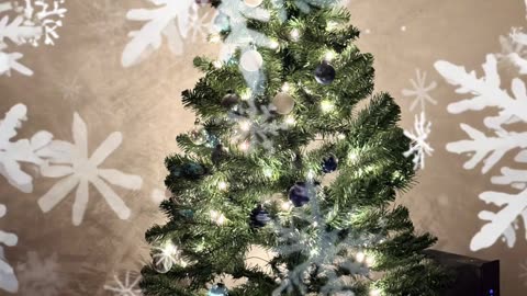 Our Christmas Tree 🌲