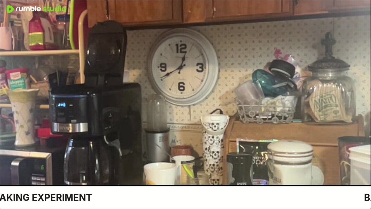 BACKSTAGE🦚 & IRL✨💃🏻