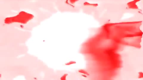 Preview 2 Stuff V776