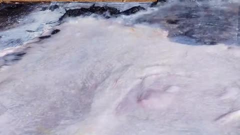 皮影戏起源于，西汉时期距今已有2000多年的历史，被列为世界非物质文化遗产代表作，济公舞光影，非遗绽新辉#百young非遗计划 #非遗守护人