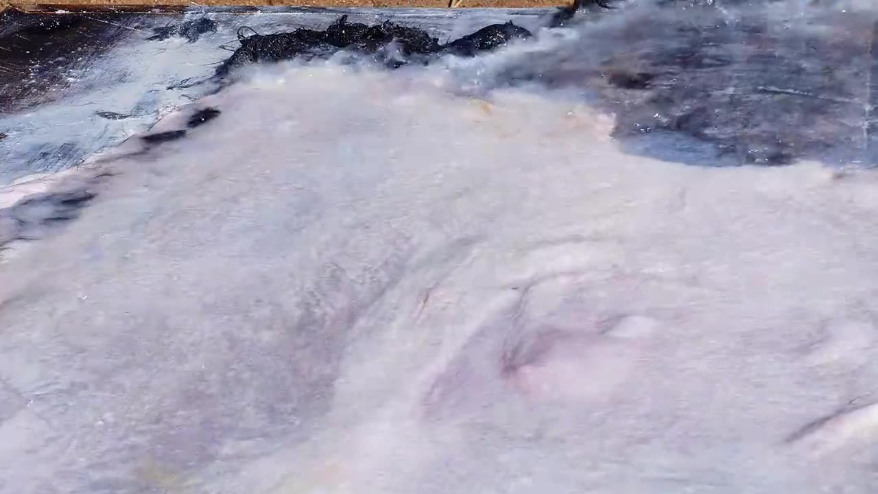 皮影戏起源于,西汉时期距今已有2000多年的历史,被列为世界非物质文化遗产代表作,济公舞光影,非遗绽新辉#百young非遗计划 #非遗守护人