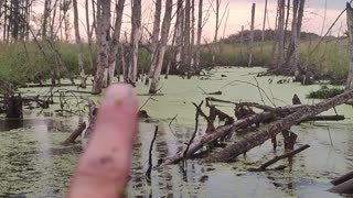 July 26, 2025 - Closing Up For Vacation