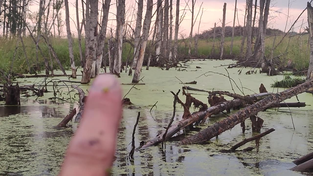 July 26, 2025 - Closing Up For Vacation