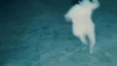 😨🧟‍♀️ Skinwalker Chasing Humans or Just a Dog? The Truth Revealed! | TheHauntingHour