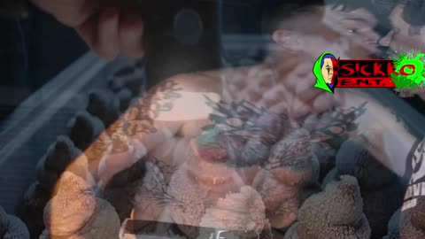 von summertime sow (Fake We We's)