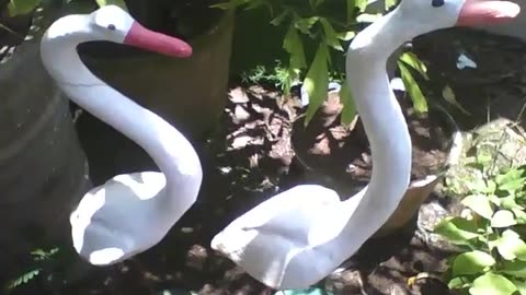 2 white stone geese in the flower shop, a beautiful work of art [Nature & Animals]