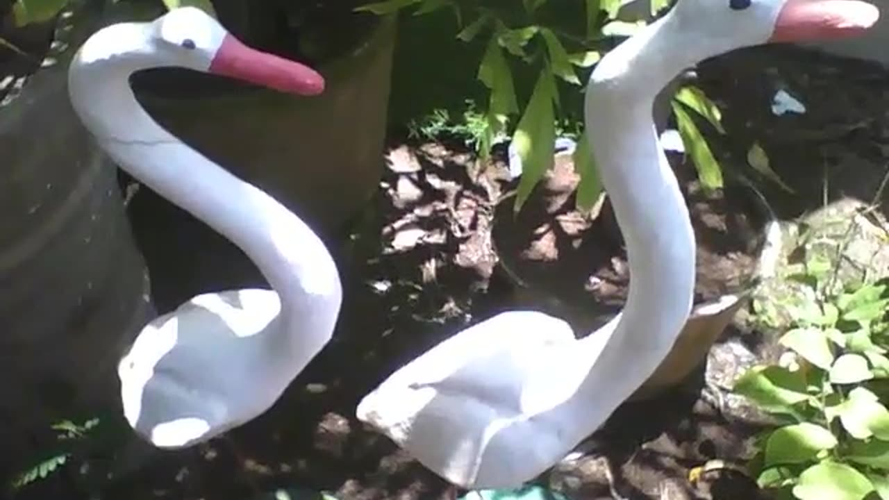 2 white stone geese in the flower shop, a beautiful work of art [Nature & Animals]