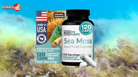 25 Beneficios del Musgo Marino