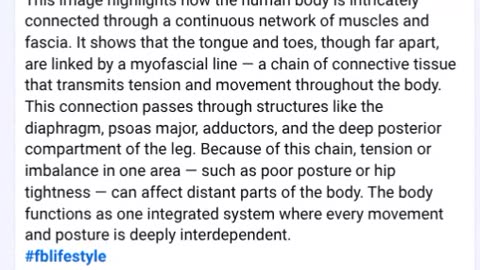 Scrolling Through Facebook