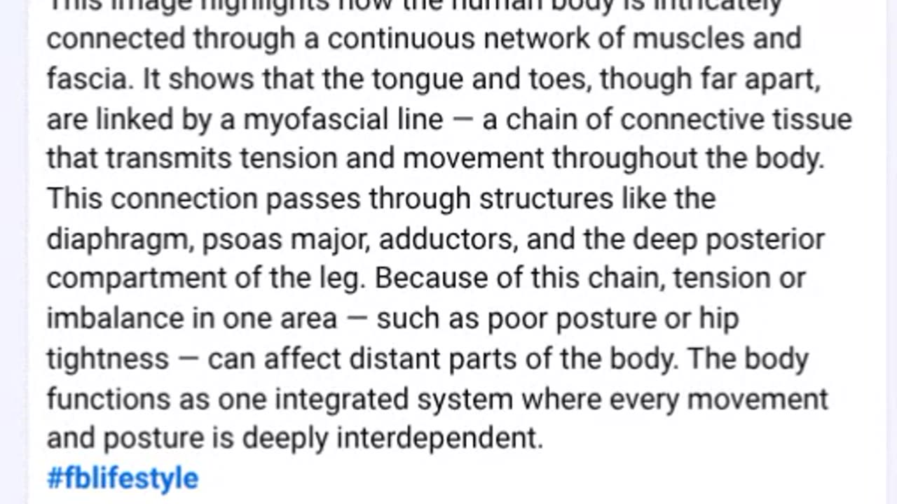 Scrolling Through Facebook