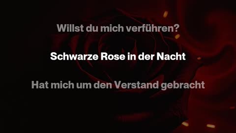 Sie steht da in der Bar