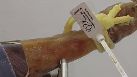50% jamón ibérico de cebo