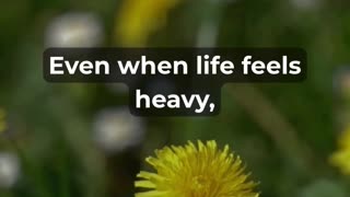 See What Happens When You Start Your Day With Gratitude