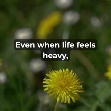 See What Happens When You Start Your Day With Gratitude