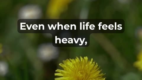 See What Happens When You Start Your Day With Gratitude