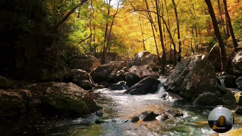 Psalm 51:1,2,10,12 Scripture Tuning Forgiveness 174 Hz Biofield Clearing Meditation