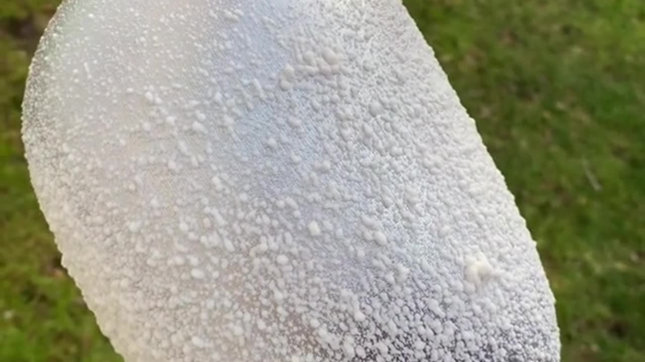 satisfying ToyTube videos Part 1