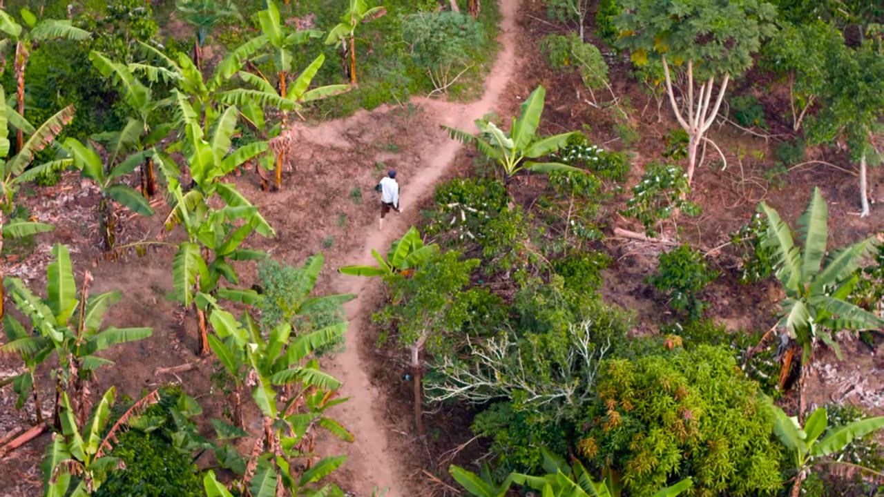 Unveiling Uganda: A Journey Through Africa's Untamed Wonder
