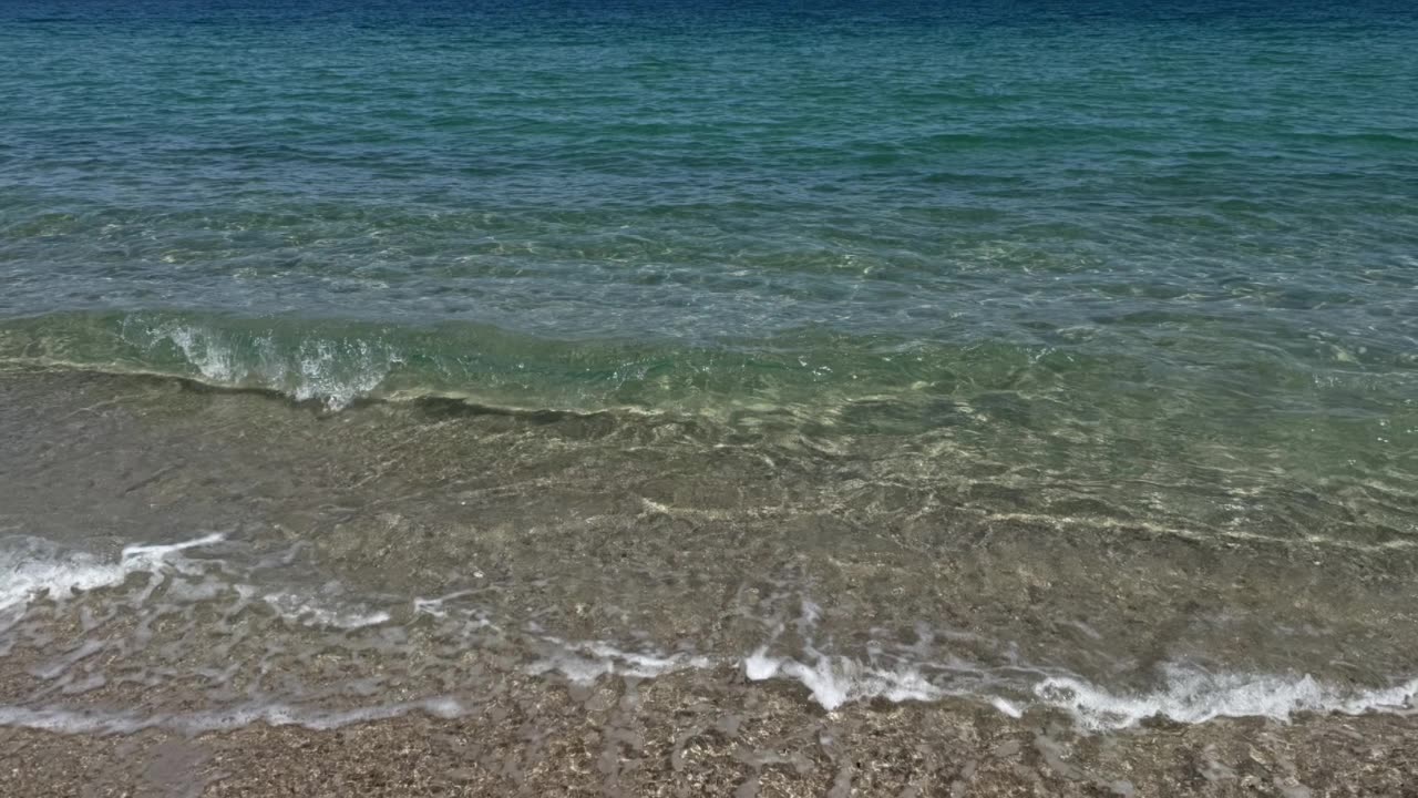 AI Alignment and Mechanistic Interpretability: Essential for Your Health