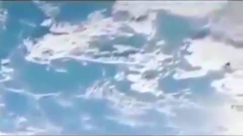 Bugs in space?