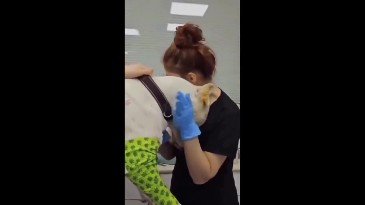 Dog realizes he’s safe.