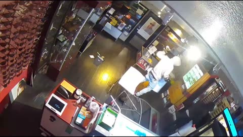 Surveillance video shows group of thieves ransacking luxury sunglasses shop