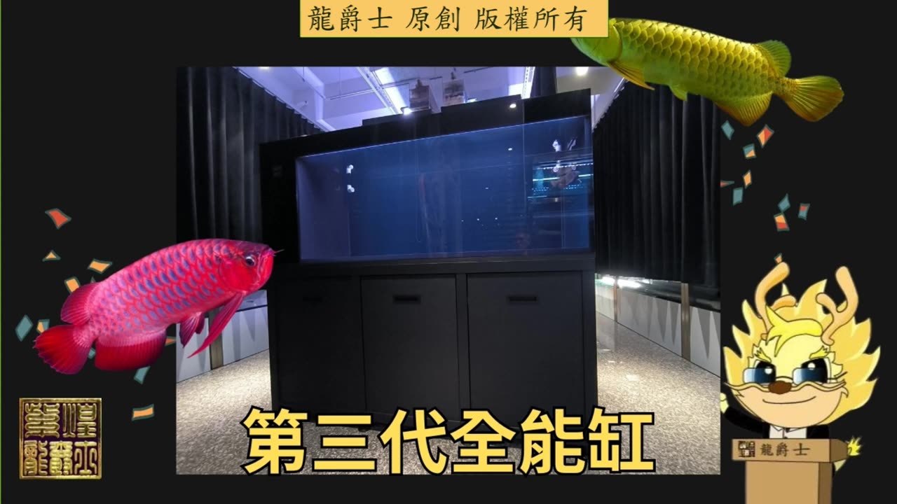 【龍爵士】龍魚百科 治療龍魚要注意的七件事
