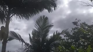 🤯👽 The Santa Catarina UFO Alert You Can't Explain! | TheTruthAbove