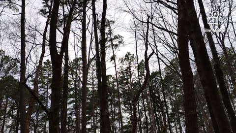 Hoping a bit of sun 🌞