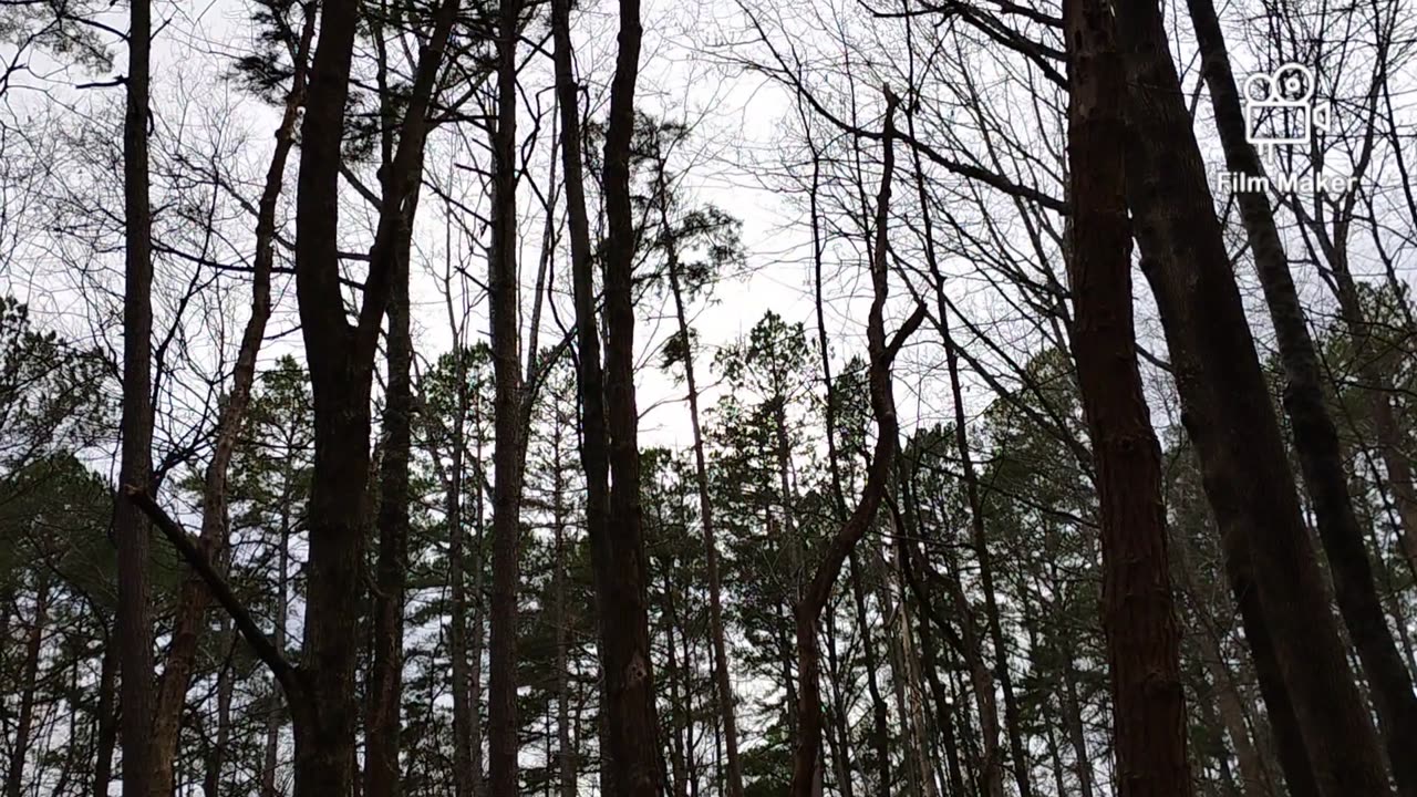 Hoping a bit of sun 🌞