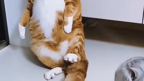 When Cute Turns Brutal!