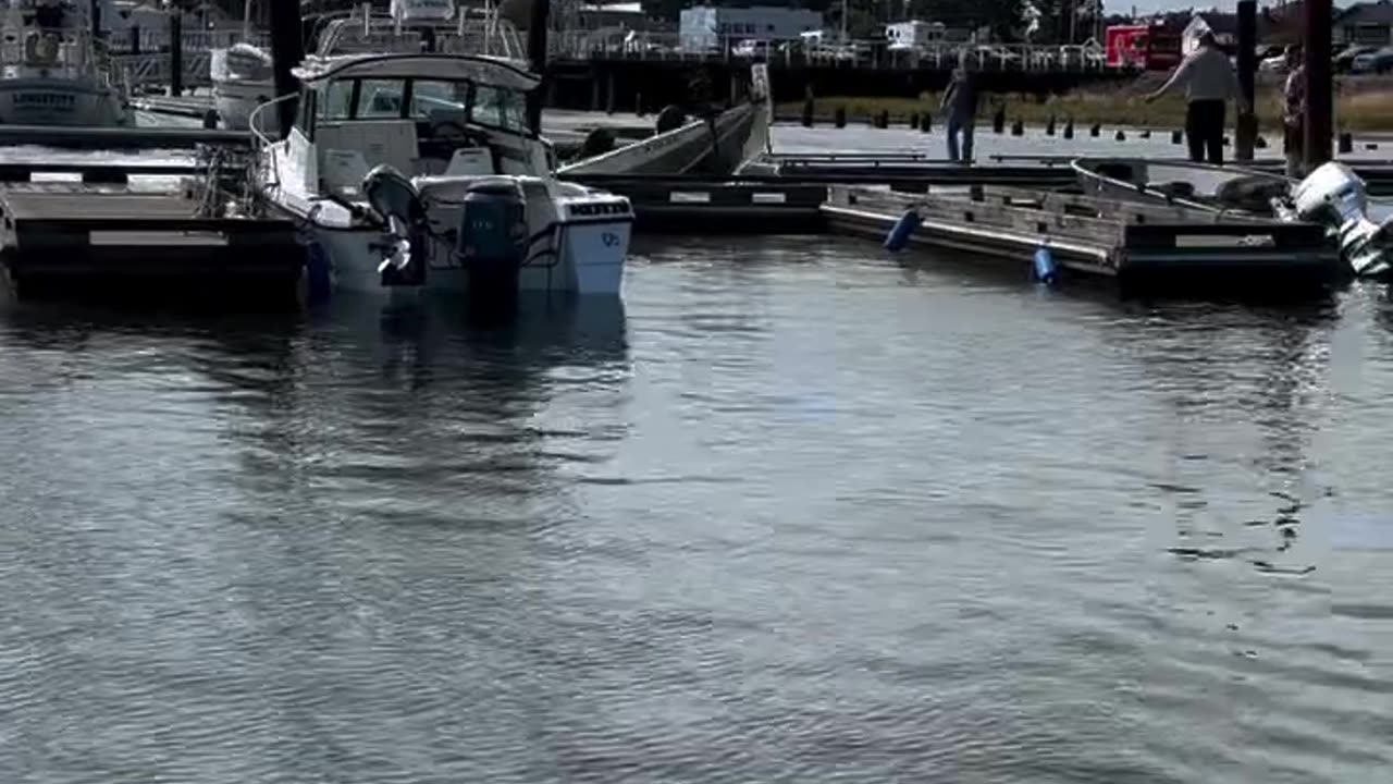 Boat Ramp Chaos at Port of Siuslaw Marina