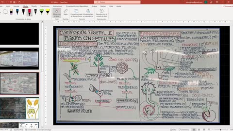 SAVIA REGULAR 2025 | Semana 14 | Anatomía