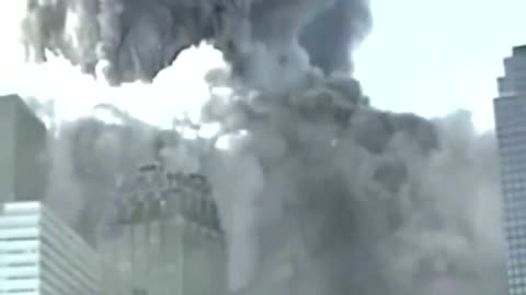 911- DUSTIFICATION,,, DR JUDY WOOD