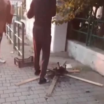 African migrants in Italy cooking dead cats on the road