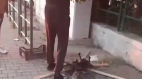 African migrants in Italy cooking dead cats on the road