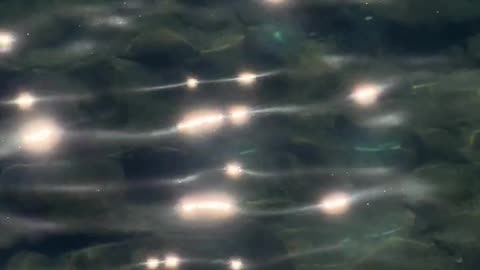 Daily Horoscope | Cancer 🌟