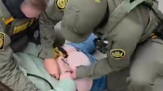 Border Patrol Agents Arrest WGN Video Producer