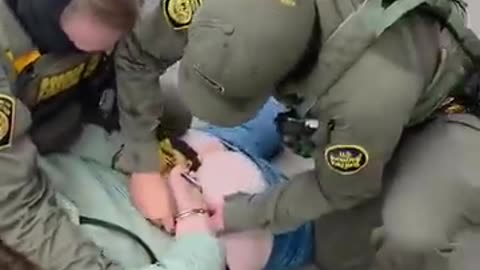 Border Patrol Agents Arrest WGN Video Producer