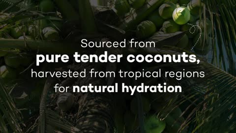 Urban Platter Tender Coconut Powder – Natural, Refreshing & Nutritious