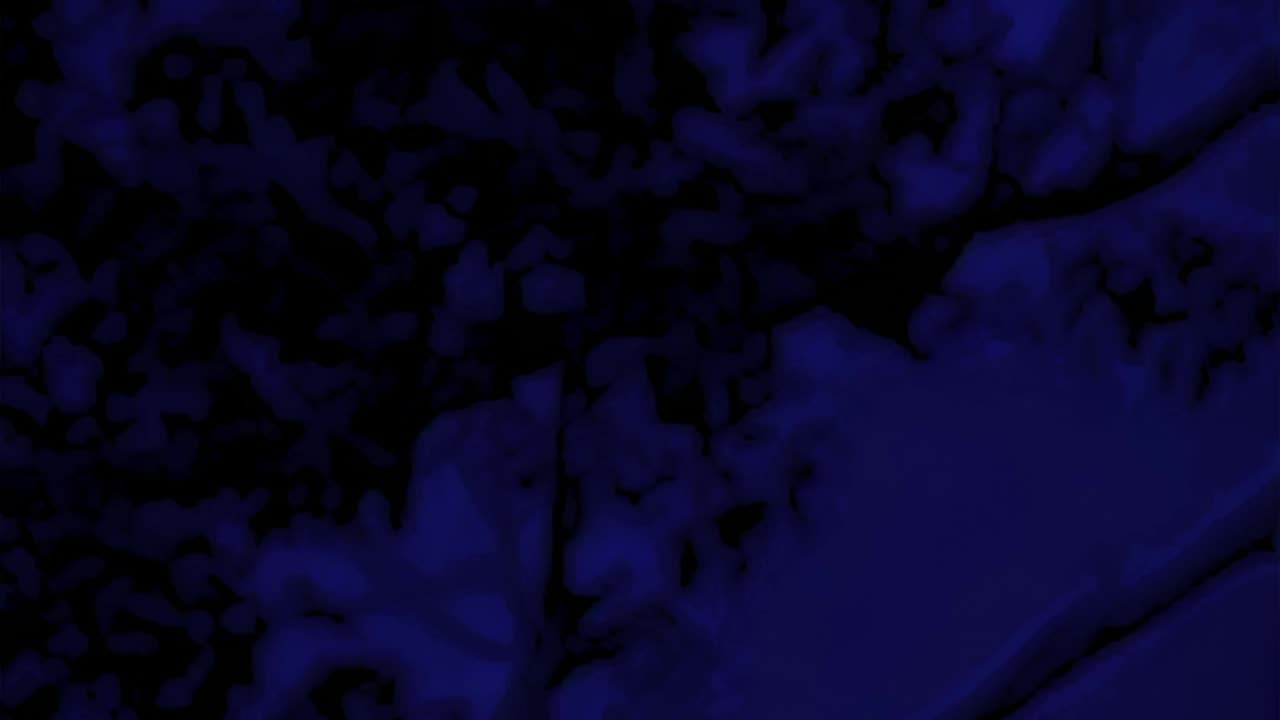 WAV - Late Conception