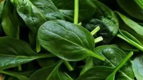 Four amazing benefits of eating spinach